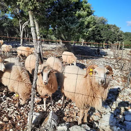 Lavanda Appartamento Čunski