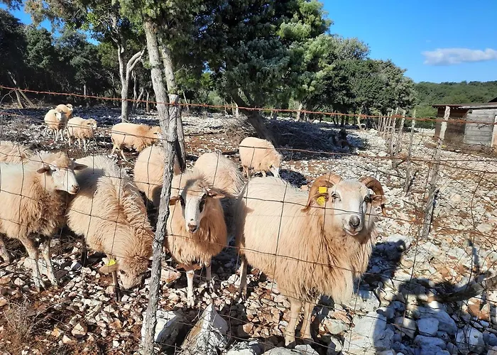 Lavanda Apartmán Čunski