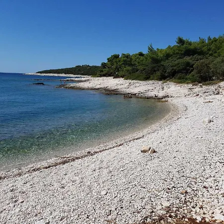 Lavanda * Čunski