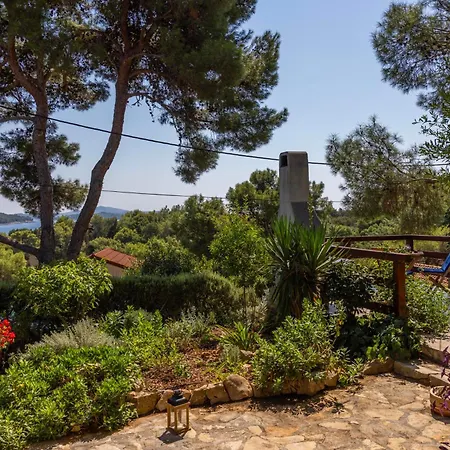 Apartament Lavanda *